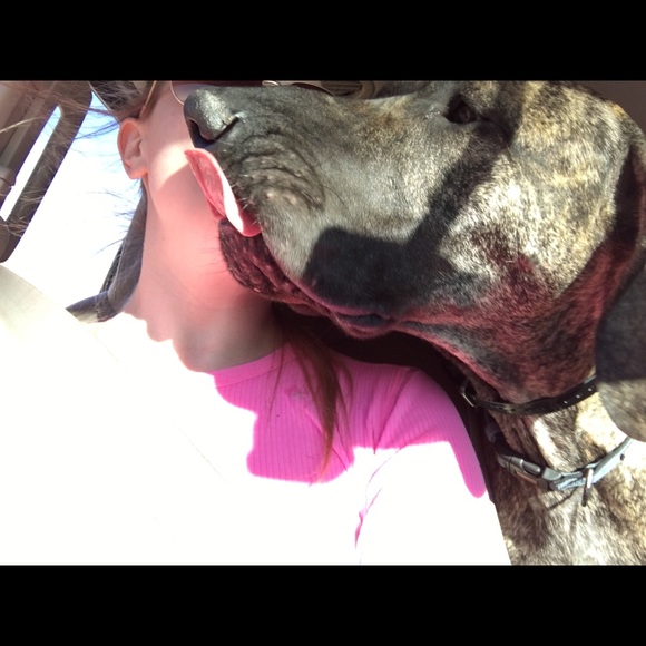 About my closet - Picture 4 of 4